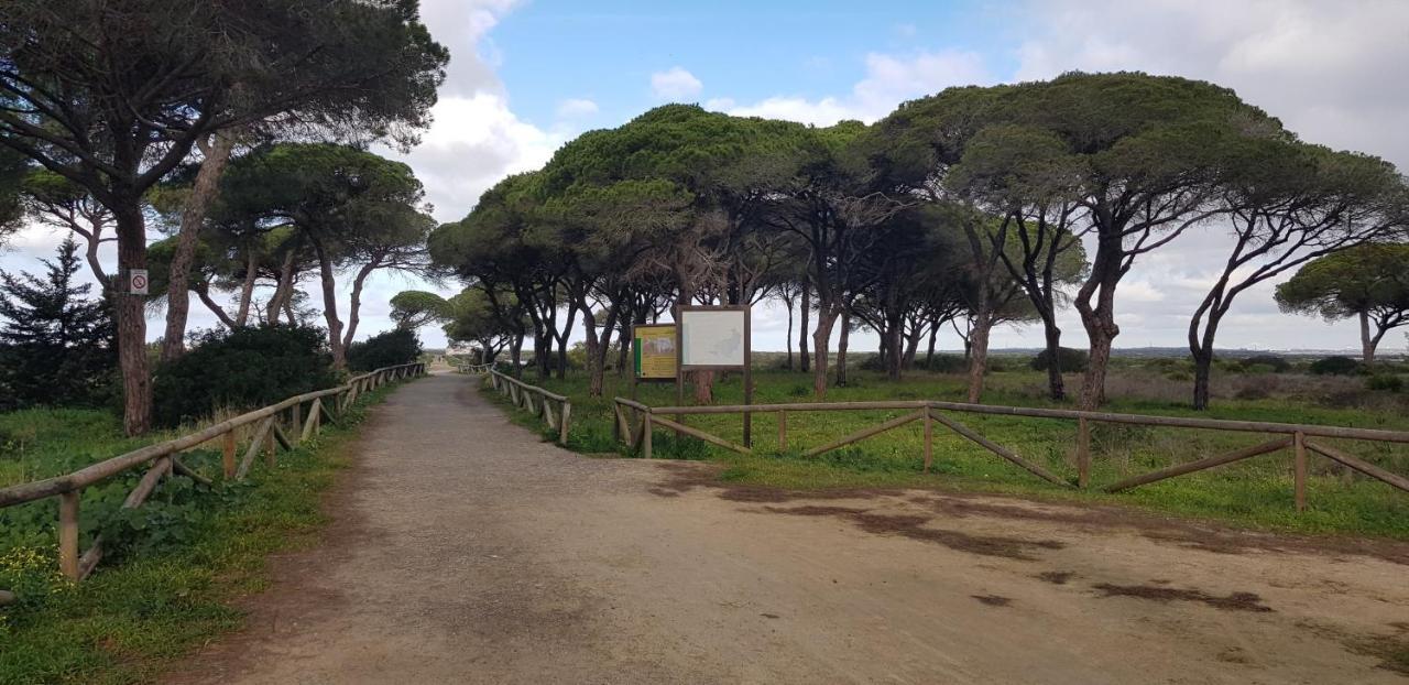 Las Nubes En Sancti Petri-Chiclana Chiclana de la Frontera Dış mekan fotoğraf